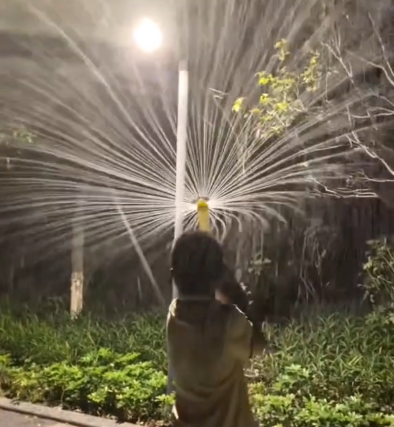 Handheld Water Fireworks Spray
